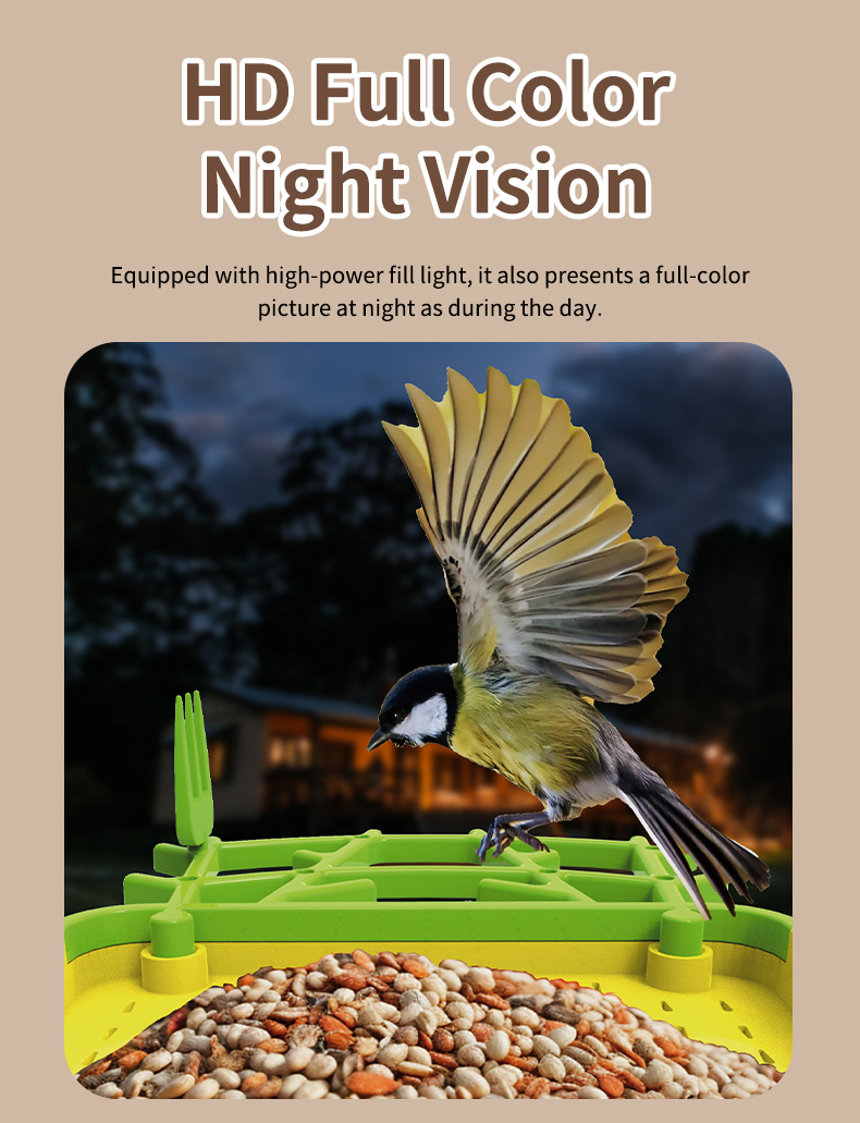 STLFSmart Feeder per uccelli T - Power Outdoor recensione e prezzo