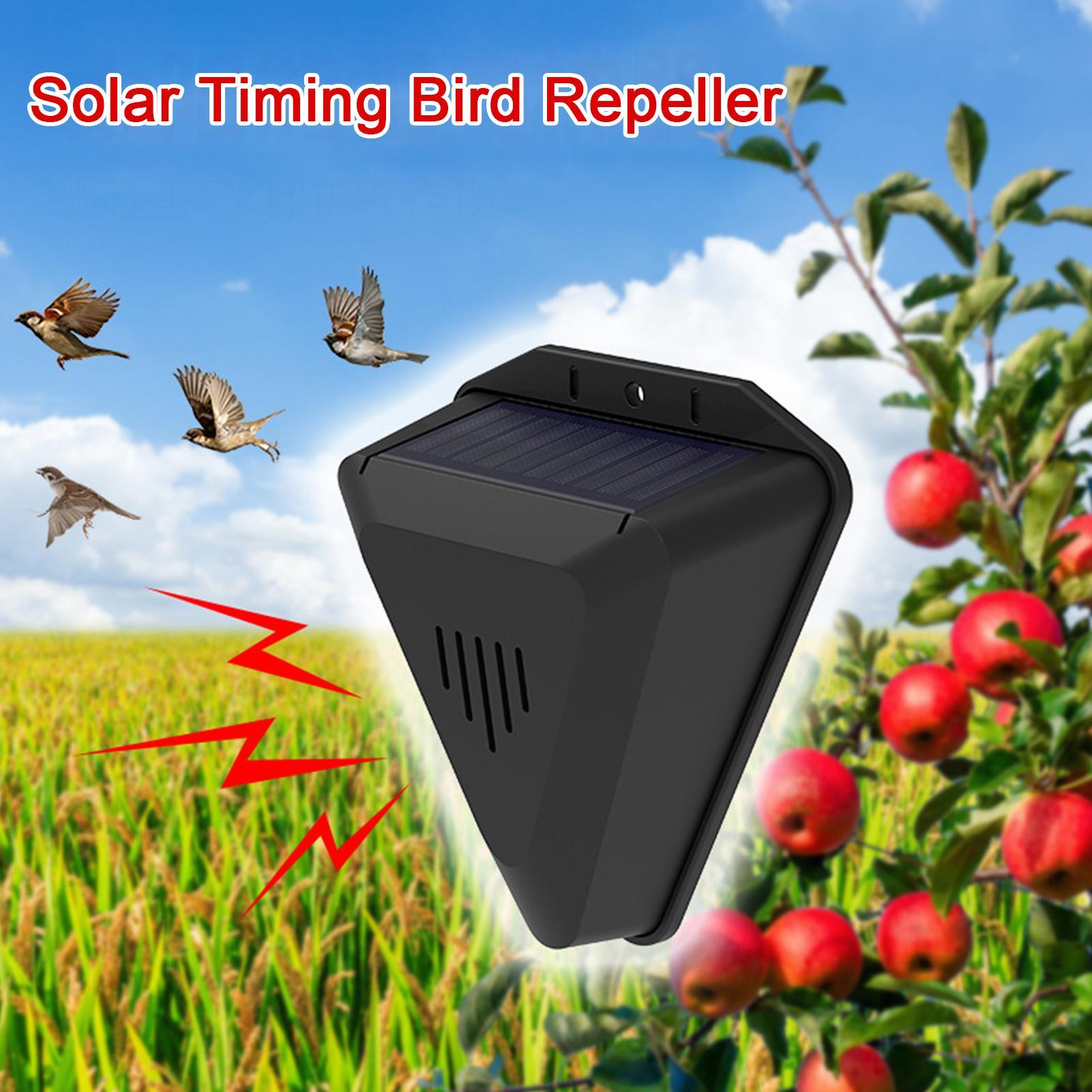 Dissuasore per Uccelli Solare  - Outdoor Power With Timer recensione e prezzo